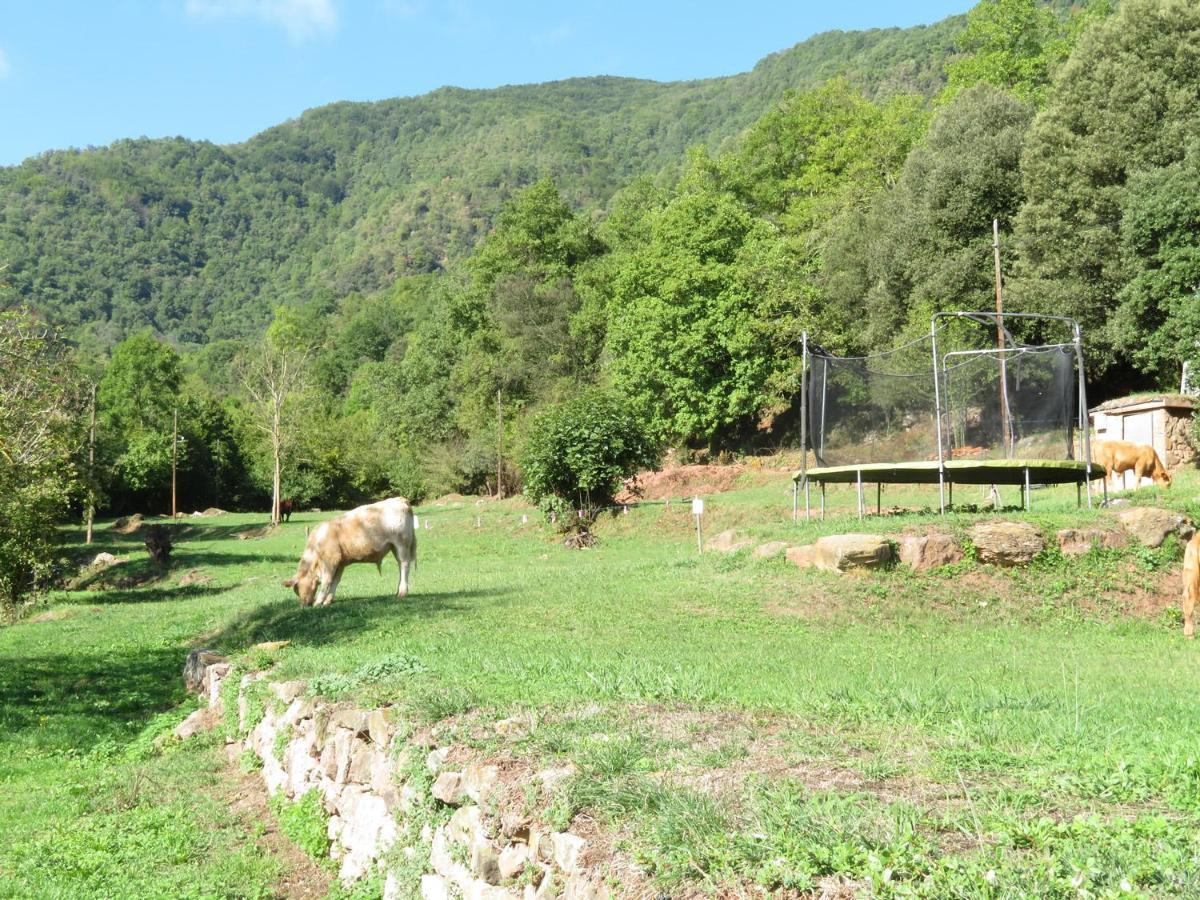 El Moli De Dalt Villa Riudaura Kültér fotó